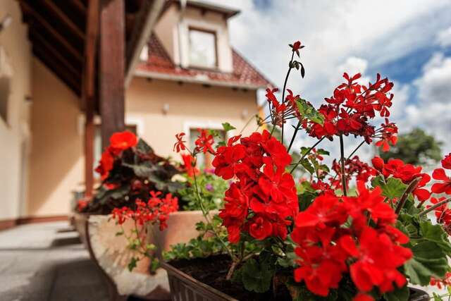 Гостевой дом Vera Сулехув-41